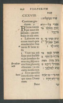 CXXVIII.