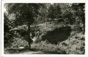 Hainichen. Parkansicht