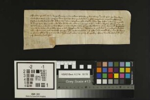 Hochheim: Lit. drei Malter Korn cum dimidia ipsua ad S. Cosm. et Damiani qua dant. Monialis zu Hocheim