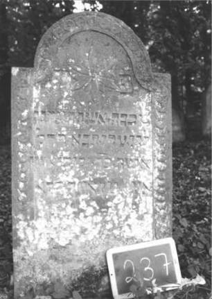 Grabstein 237 (Index: 99894698) Material: Sandstein Zustand: bewachsen Maße HxBxT: 105x56x8 cm Beschreibung: Stele mit eingezogenem Rundbogenabschluss Symbolik: Blüte, Schuppenmuster, Ringmuster: Grabstein 237