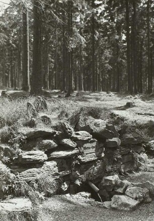 Werraquelle, hintere bei Siegmundsburg (Thür.)