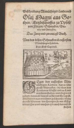 Olai Magni ... von Fliegen/ Schnacken/ Bienen/ und Ameyssen. Das Zwey und zwentzigst Buch.