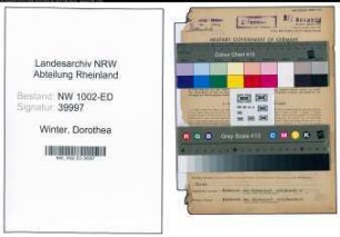 Entnazifizierung Dorothea Winter, geb. 23.02.1902 (Lehrerin)