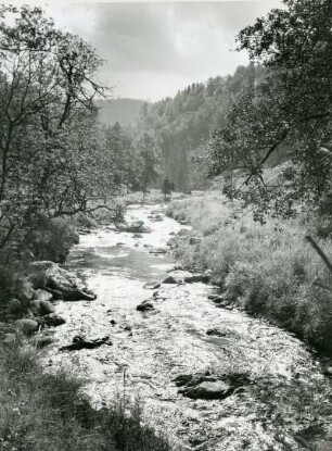 Harz. Im Okertal