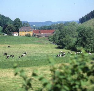 Knüllwald-Völkershain (Schwalm-Eder-Kreis). Blick über Weideflächen auf die Ullrichsmühle