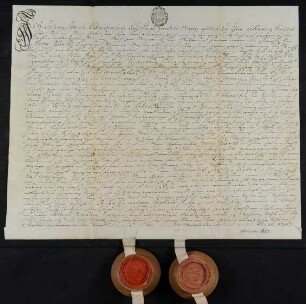 Johann Josef Schneidenbach, Kaufmann in Ulm, verkauft dem Schneidermeister und Ulmer Bürger Georg Pfursch Haus und Hofstatt in Ulm am Lautenberg zwischen dem Ratsherren Christoph Erhard Kindervater und dem Hutmacher Friedrich Klingenbauer. Dafür hat er von dem Käufer 650 Gulden Ulmer Stadtwährung erhalten.