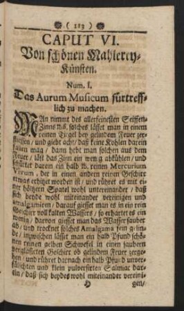 Caput VI. Von schönen Mahlerey-künsten.