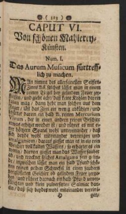 Caput VI. Von schönen Mahlerey-künsten.