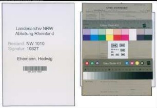 Entnazifizierung Hedwig Ehemann , geb. (Chemieindustrie)