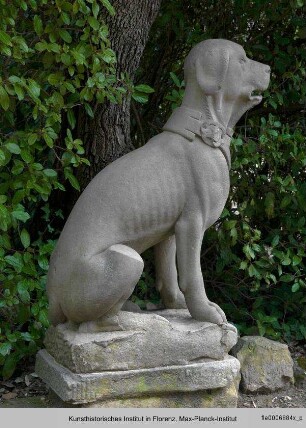 Zwei sitzende Hunde