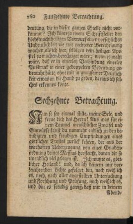 Sechzehnte Betrachtung