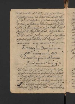 Evangelia Dominicarum totius anni
