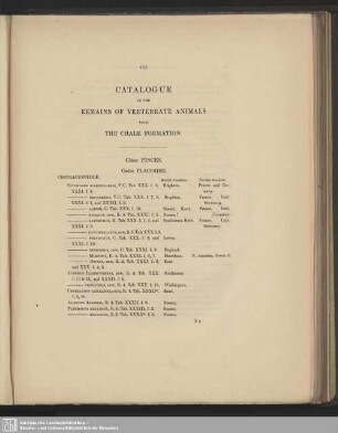 Catalogue Of The Remains Of Vertebrate Animals From The Chalk Formation