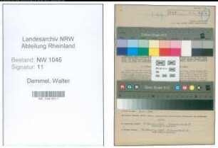 Entnazifizierung Walter Demmel , geb. 17.02.1909 (Angestellter)