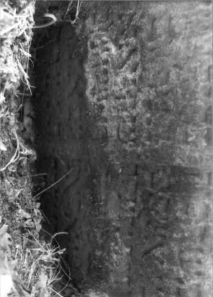 Grabstein 418 (Index: 100115645) Material: Sandstein Zustand: verwittert mit Textverlust, teilweise im Boden eingesunken Maße HxBxT: 63x55x9 cm Beschreibung: Doppelstele mit doppeltem Rundbogen Besonderheit: Doppelgrab für Eheleute: Grabstein 418B (Detailaufnahme)