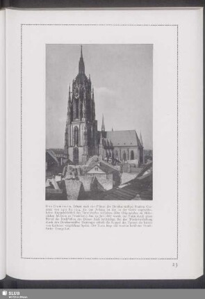Der Domturm