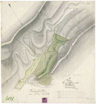 Plan über den herrschafftlichen Wald Gaishütt im Gengenbacher Forst, Reichenbacher Bann. Plan Lit. B.