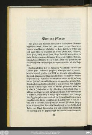 Tiere und Pflanzen