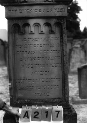 Grabstein 217 (Index: 99797681) Material: Sandstein, weiß Zustand: gut Maße HxBxT: 187x60x17 cm Beschreibung: Stele, Giebel rechteckig erhöht, getreppter Sockel Symbolik: Rundbogenfries, Schriftband: Grabstein 217A