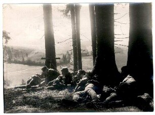 Nr. 139: Telephon-Abteilung in einer Waldlichtung