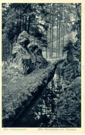 Ansicht der Grabentour mit Ruhefelsen am Graben, in der Sächsischen Schweiz
