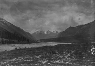 Tal : Ein Tal im Tian Shan Hochgebirge