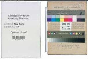 Entnazifizierung Josef Spesser , geb. 15.01.1902 (Fabrikant)