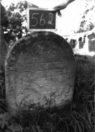 Grabstein 562 (Index: 100102504) Material: Sandstein Zustand: stark verwittert, abgeblättert, teilweiser Textverlust Maße HxBxT: 77x55x10 cm Beschreibung: Stele, Rundbogenabschluss, Schriftfeld eingetieft: Grabstein 562