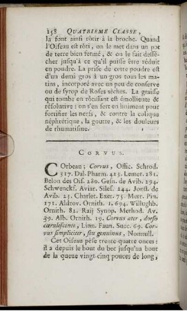 Corvus.