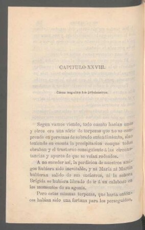 Capítulo XXVIII. - Cómo seguían los prisioneros.