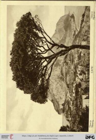 Capri – Tiberio – Tiberio – Tiberio – Tiberius