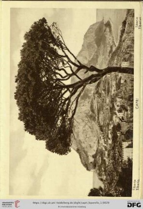 Capri – Tiberio – Tiberio – Tiberio – Tiberius