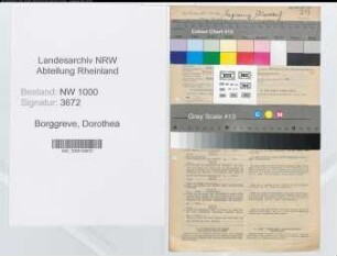 Entnazifizierung Dorothea Borggreve, geb. 05.07.1896 (Stenotyp.)