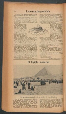 El Egipto moderno