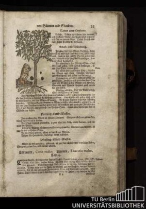 Cap. 9. Citrinaten, Citria malus. Limonen, Limonia malus.
