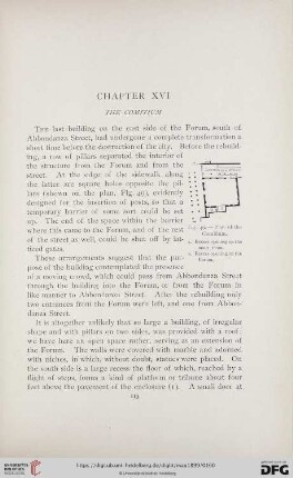 Chapter XVI.: The Comitium