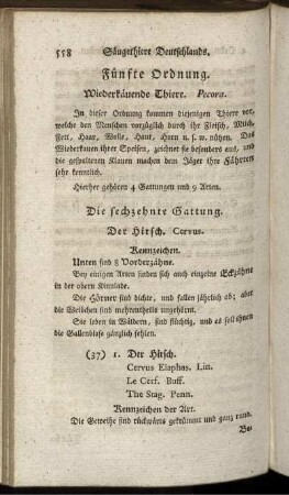 Fünfte Ordnung. Wiederkäuende Thiere. Pecora.