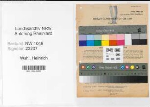 Entnazifizierung Heinrich Wahl , geb. 29.03.1902 (Steuerinspektor)