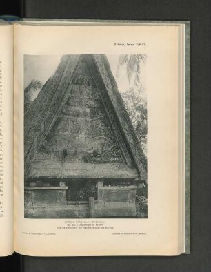 Krämer, Palau, Tafel 5.