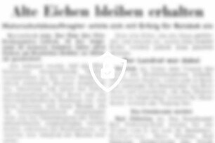 Alte Eichen bleiben erhalten