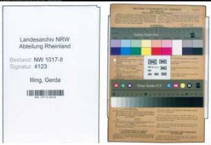 Entnazifizierung Gerda Illing , geb. 05.05.1911 (Kaufmaennische Angestellte)