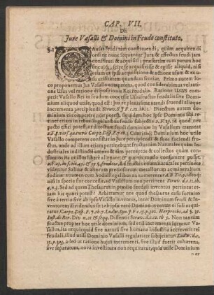 Cap. VII. De Iure Vasalli & Domini in Feudo constituto.
