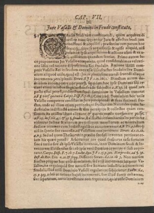 Cap. VII. De Iure Vasalli & Domini in Feudo constituto.
