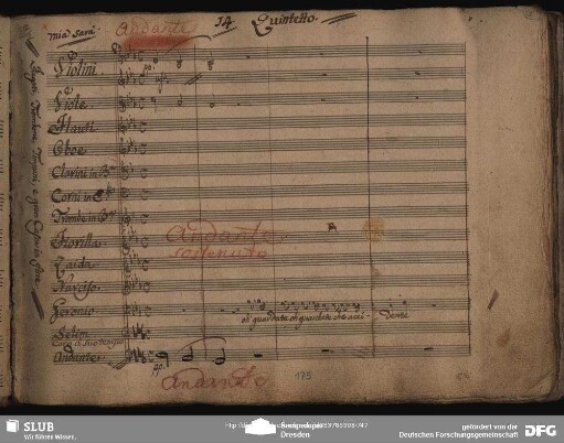 Quintetto: "Oh guardate"