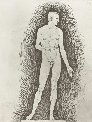 Mann von vorn vor schraffiertem Grund : Dresdner Skizzenbuch (1507/1528). Mann von vorn vor schraffiertem Grund (aus: R. Bruck: Das Skizzenbuch von Albrecht Dürer, Straßburg 1905, Tafel 8, Blatt 121, Kriegsverlust). Dresden: SLUB Mscr.Dresd.R.147.f
