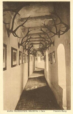 Ansichtskarte: Burg Falkenstein, Selketal i. Harz - Fräulein-Gang