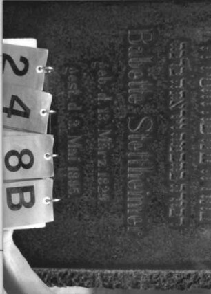Grabstein 248 [Hahn S. 206 Grab-Nr. 895]: Grabstein 248B [Hahn S. 206 Grab-Nr. 895]