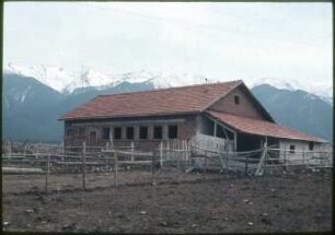 Fischgrätenmelkstand in der LPG Bansko am Fuße des Pirin-Gebirge