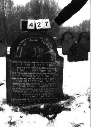 Grabstein 427