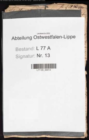 Anstellung der Unterbedienten im Amt Detmold (Untervögte, Amtsdiener, Amtspedelle, Bauerrichter)